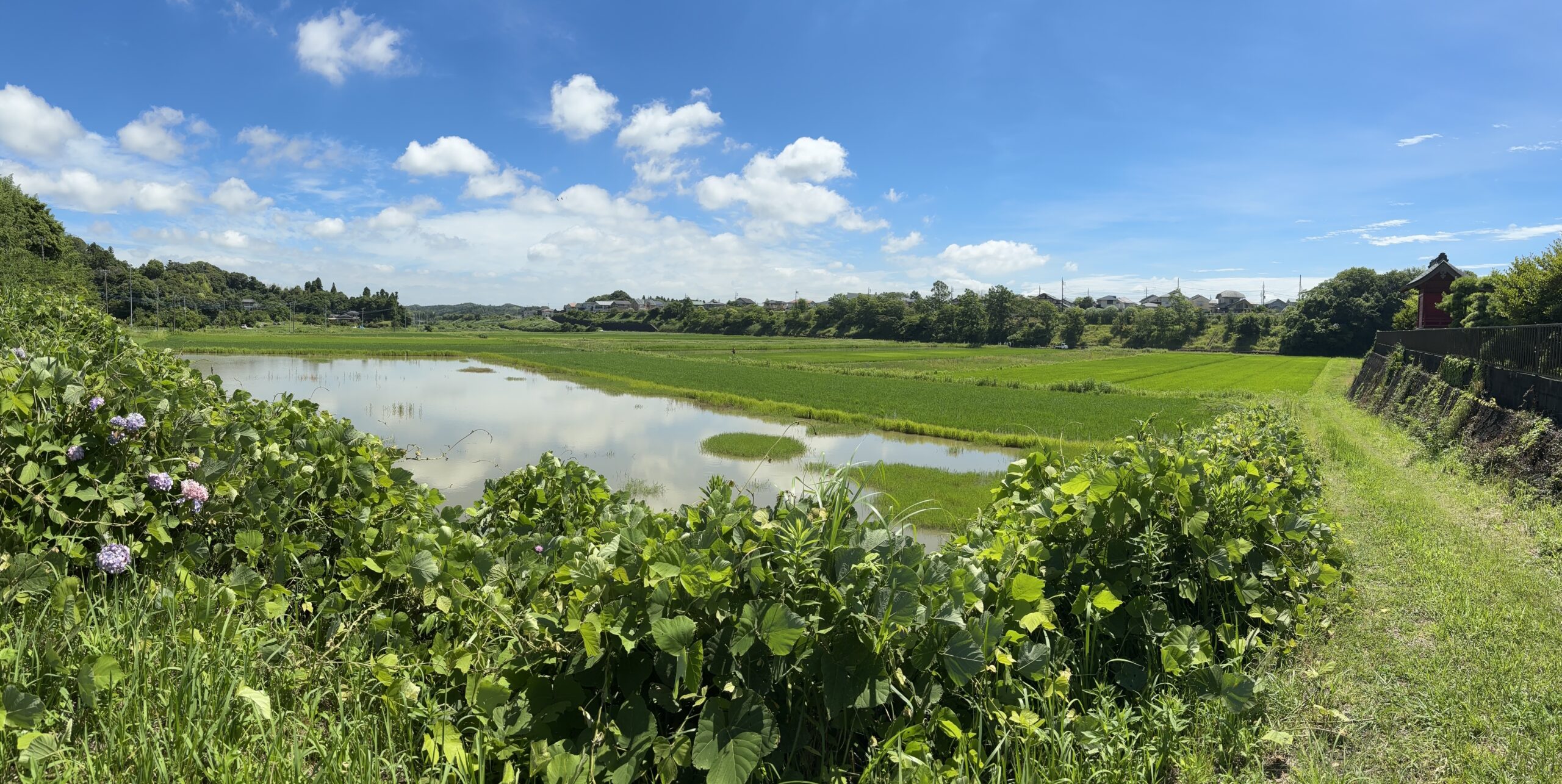 リアル瞑想体験 in 千葉茂原